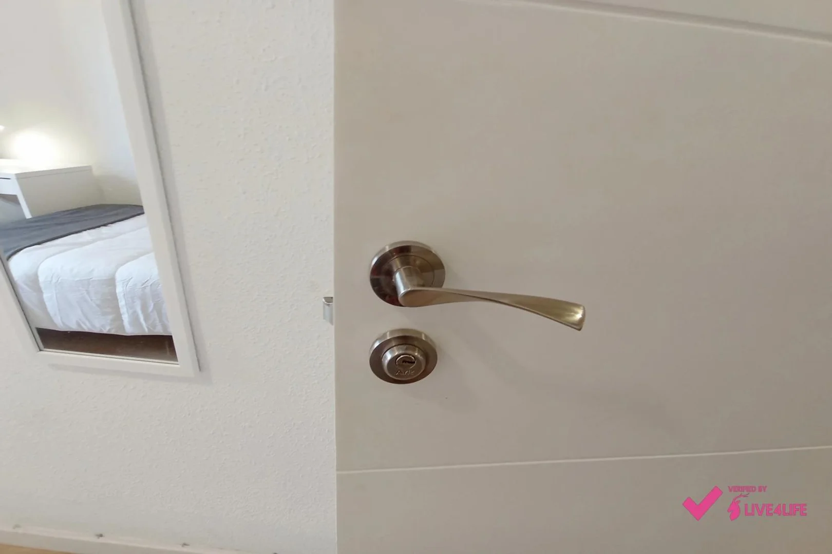 Affordable room for students with ample lighting in