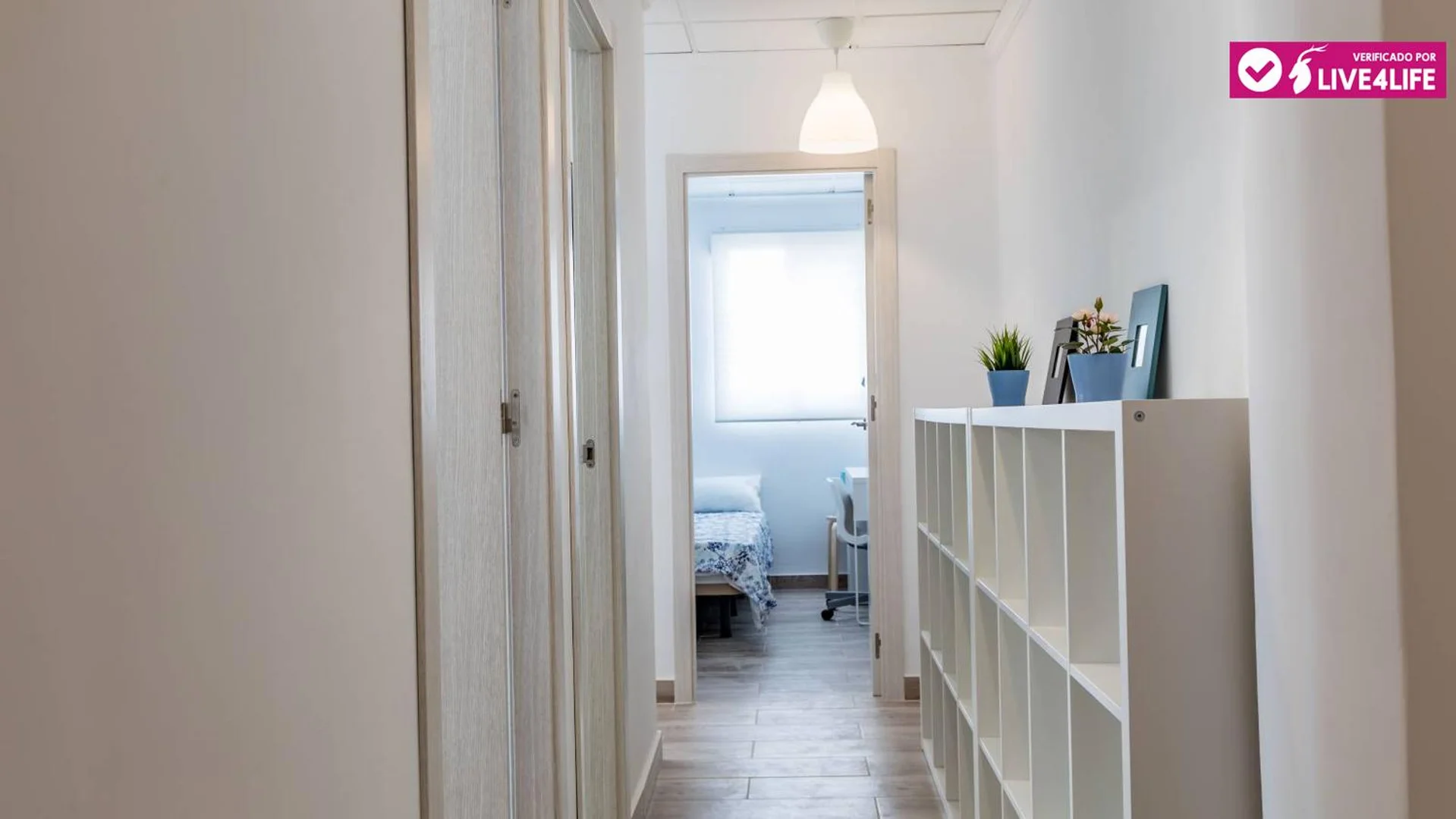 Budget-friendly student room close to campus in
