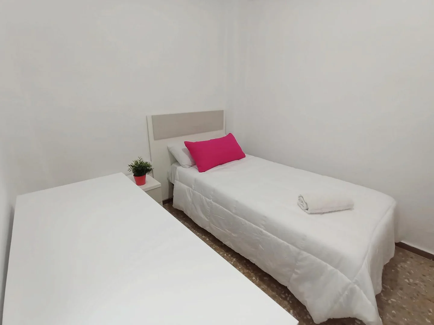 Cozy room for students available in 