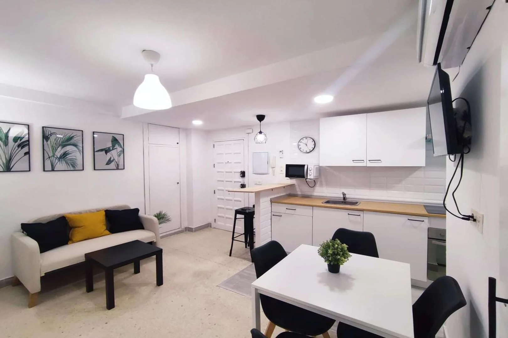 Affordable room for students with ample lighting in 