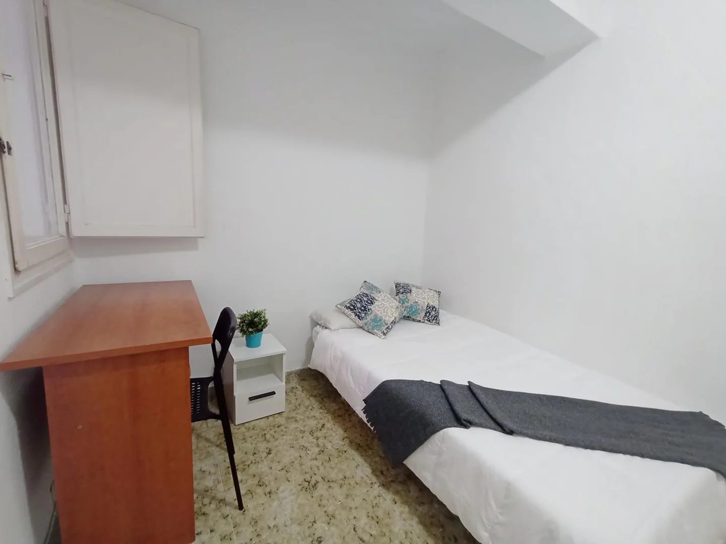 Affordable room for students with ample lighting in 