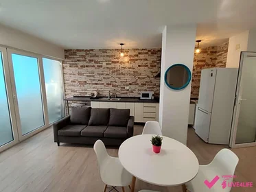 Habitación compartida con escritorio en {area}