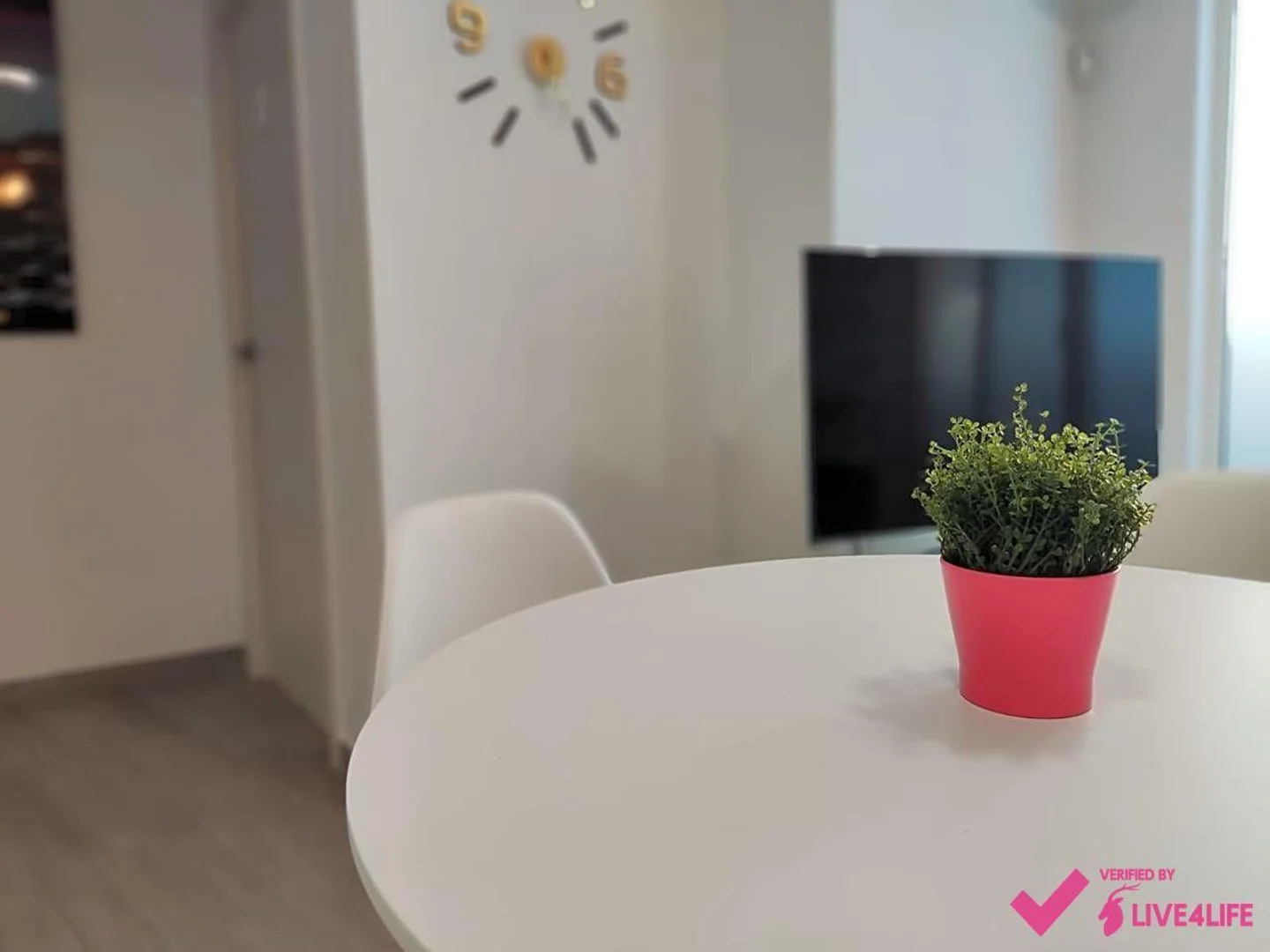 Habitación estudiantil amplia y cómoda en 