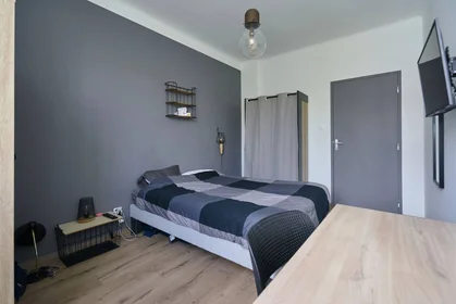 Privatzimmer in der Metz, 57000, bild 28 von 34