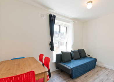 Accommodation in the centre of Dublin