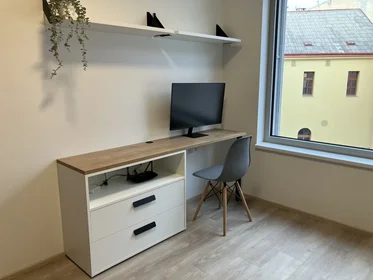 Gesamte Unterkunft in der Plzeňská 3384, bild 15 von 20
