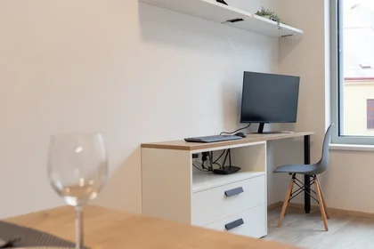 Gesamte Unterkunft in der Plzeňská 3384, bild 6 von 20