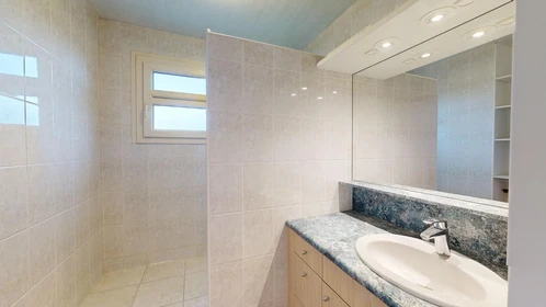 Chambre privée à 18 Rue Frédéric Mistral, Rennes 35200, image 35 de 38
