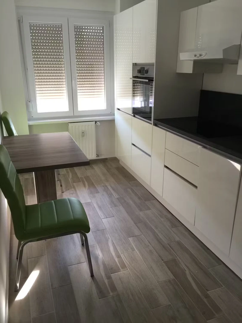 Modern and bright flat in Maribor