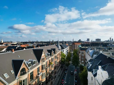 私人房间 在 Frederiksberg, Denmark, 39的图像29