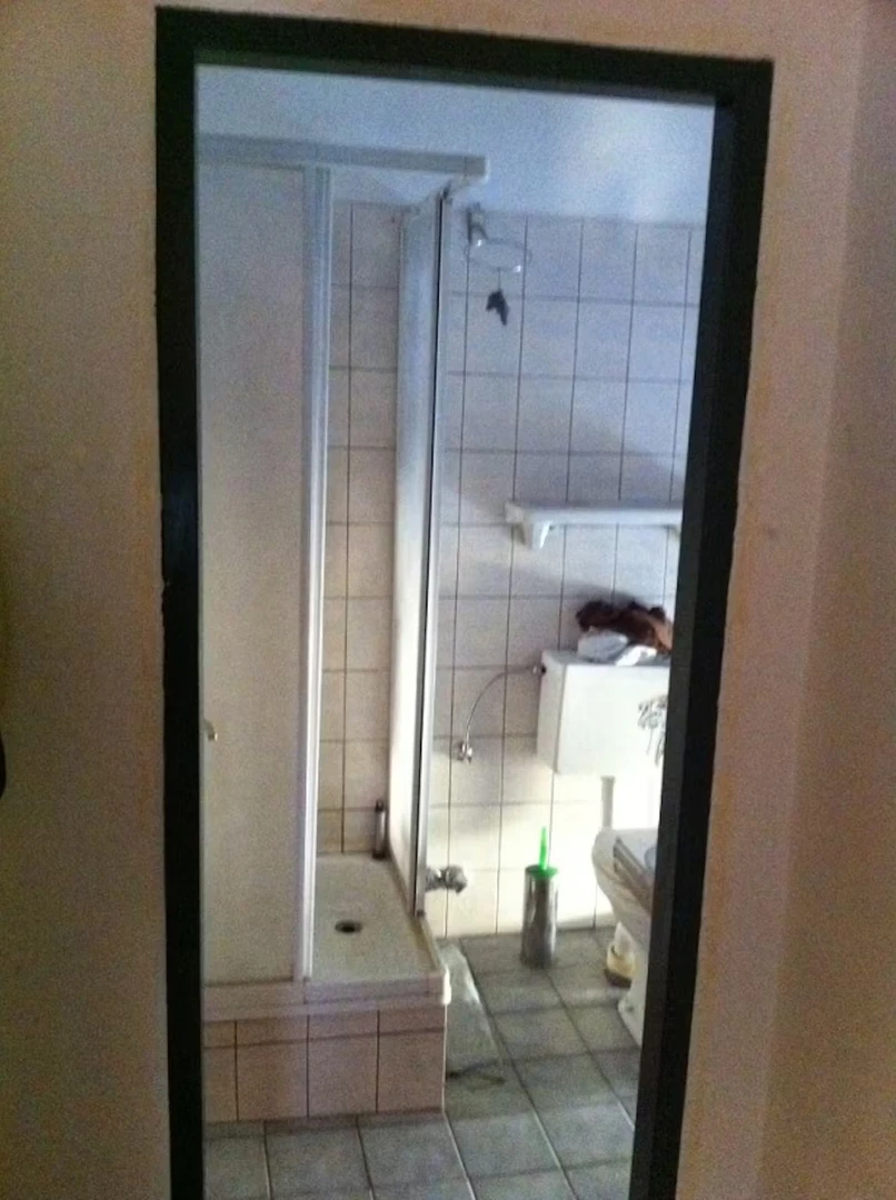 Entire fully furnished flat in Linz