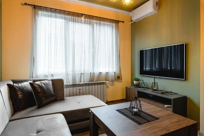Nowoczesne i jasne mieszkanie w Sofia