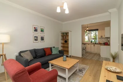 Modern and bright flat in {area}