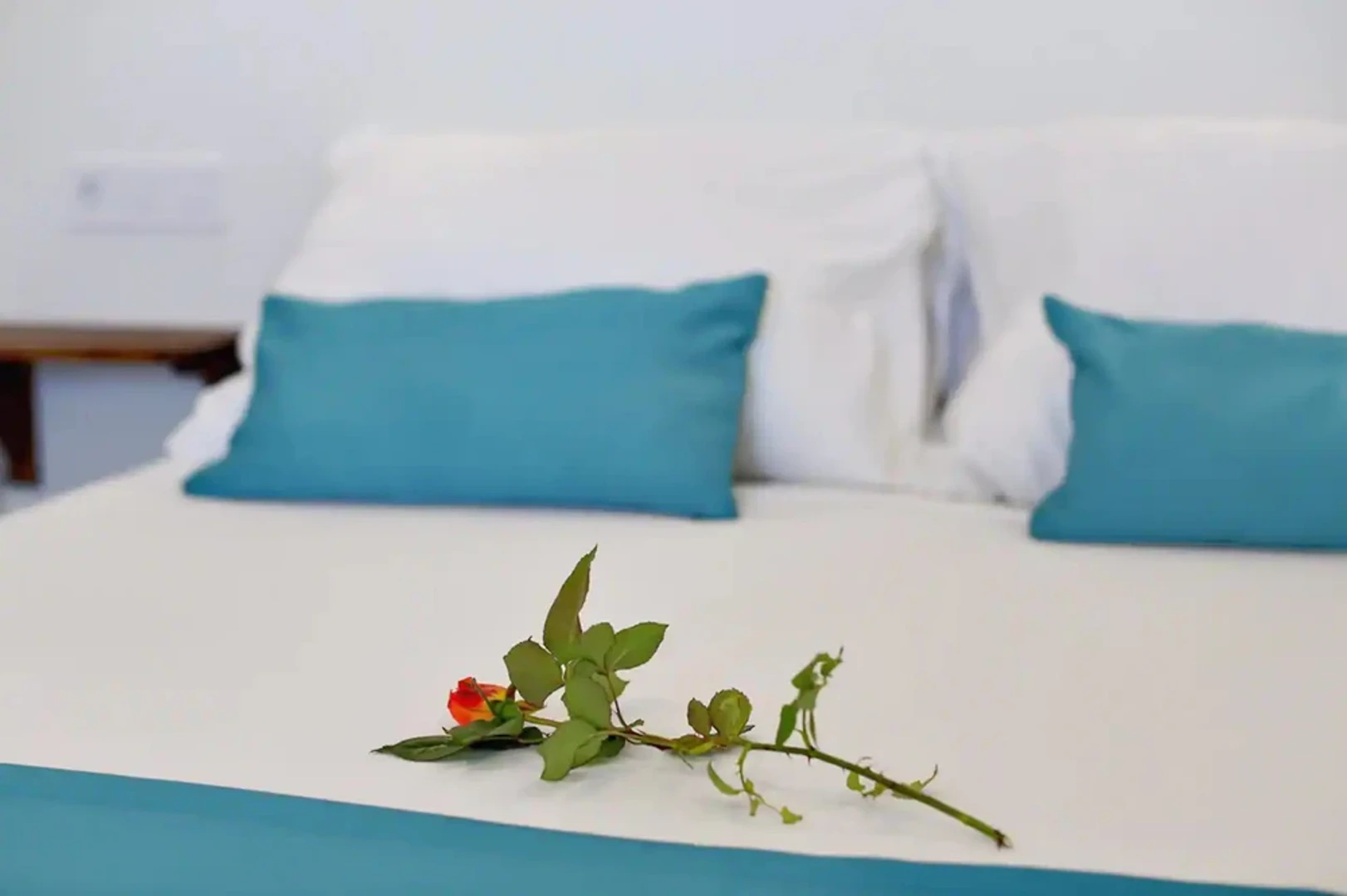 Zakwaterowanie z 3 sypialniami w Zadar