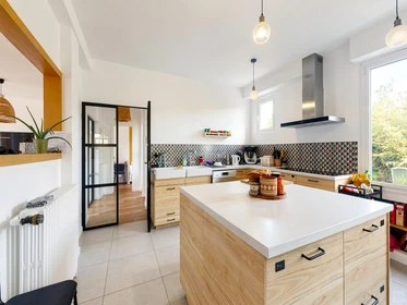 Stanza privata in Fougères-Sévigné, Rennes, immagine 1 di 10