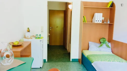 Private room in residence at Linzerstrasse, image 6 of 11