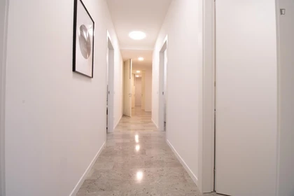 Chambre à louer dans un appartement en colocation à Vicenza