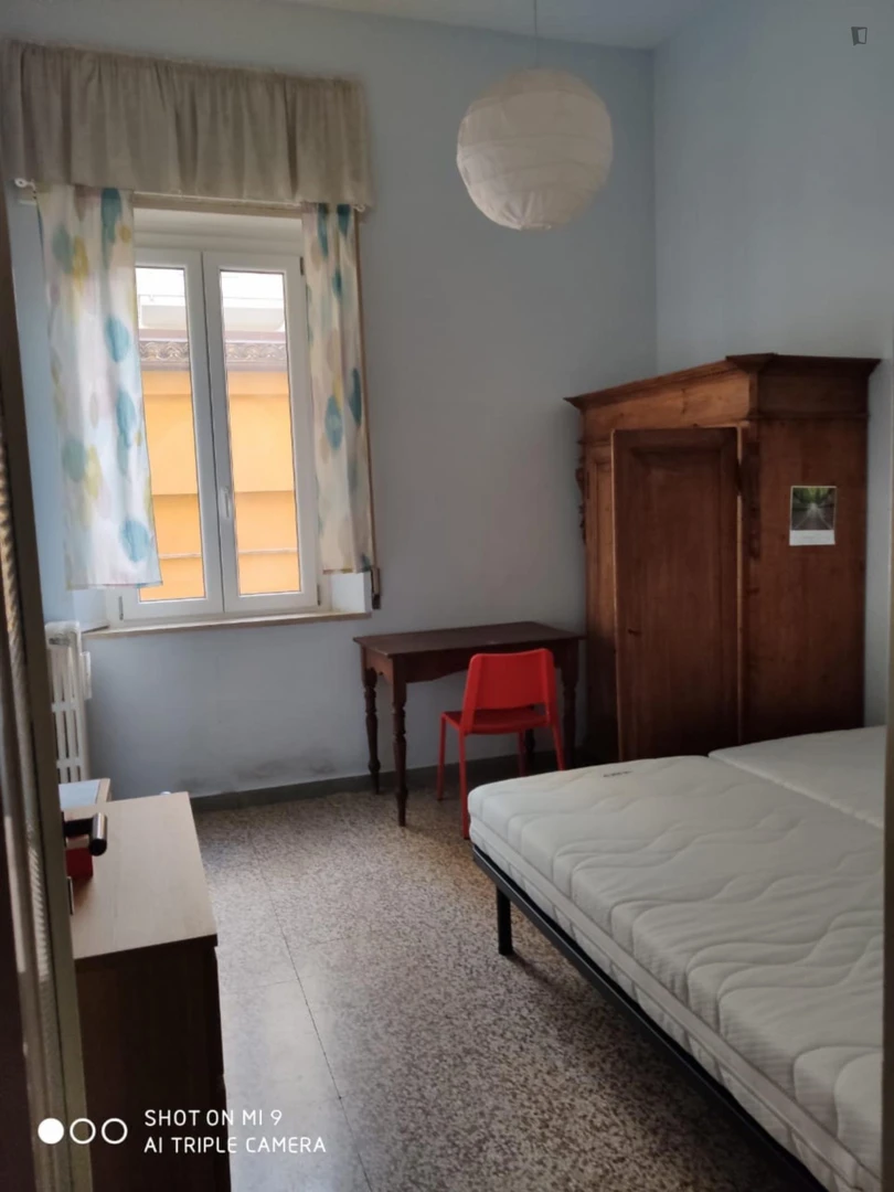 Room for rent in a shared flat in ancona
