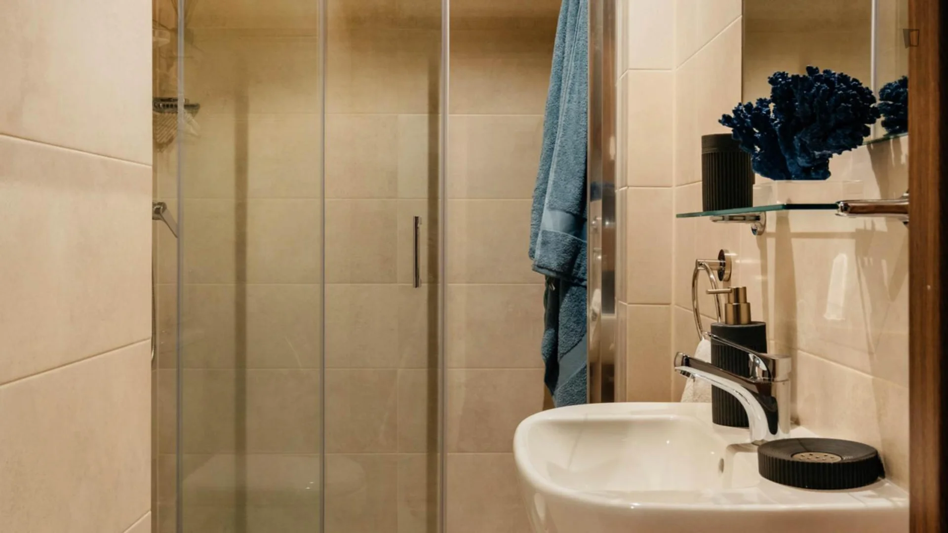 Chambre confortable pour étudiants disponible dans