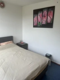 Rotterdam de çift kişilik yataklı kiralık oda