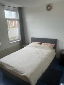 Monatliche Vermietung von Zimmern in Rotterdam