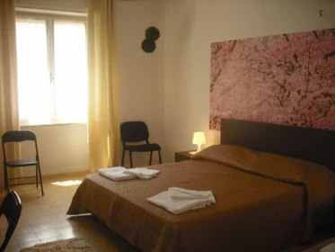 Room for rent in a shared flat in Pisa