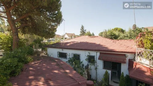Całe miejsce Calle Cerrilo, obraz 20 22