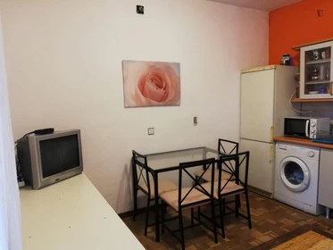 Entire fully furnished flat in Villaviciosa De Odón