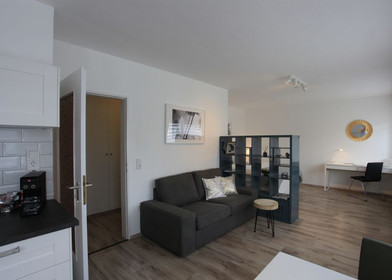 Great studio apartment in Leverkusen