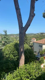 Privatzimmer in der Carrer de San Eusebi, bild 9 von 24
