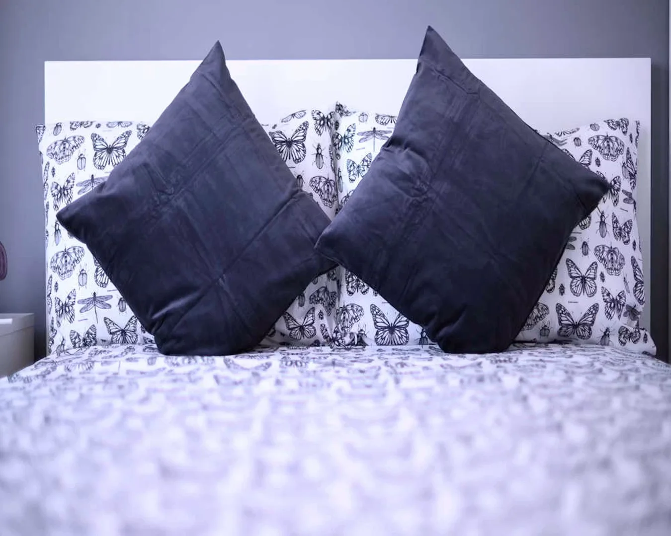 Student-friendly room in  with modern amenities