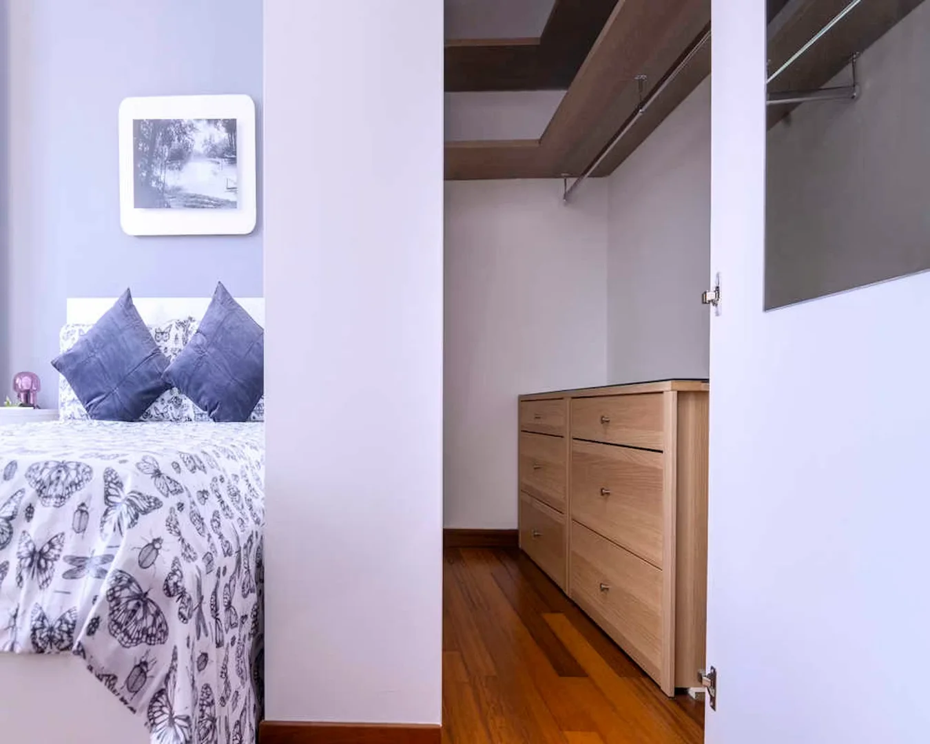 Affordable room for students with ample lighting in 