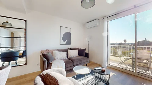 Prywatny pokój 215 Rue Emile Gaboriau, obraz 1 10
