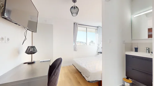 Quarto privado em 215 Rue Emile Gaboriau, imagem 19 de 26