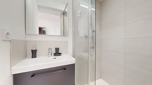 Quarto privado em 215 Rue Emile Gaboriau, imagem 21 de 26