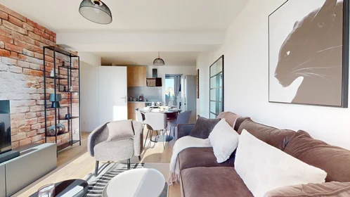 Quarto privado em 215 Rue Emile Gaboriau, imagem 8 de 26