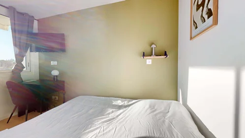 Chambre privée à 215 Rue Emile Gaboriau, 34000 Montpellier, France, image 1 de 28