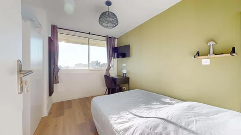 Chambre privée à 215 Rue Emile Gaboriau, 34000 Montpellier, France, image 3 de 28