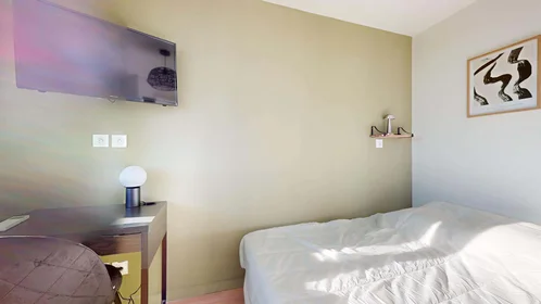 Chambre privée à 215 Rue Emile Gaboriau, 34000 Montpellier, France, image 4 de 28