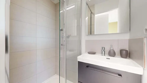 Chambre privée à 215 Rue Emile Gaboriau, 34000 Montpellier, France, image 7 de 28