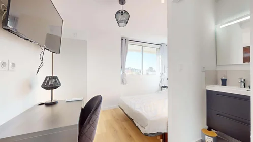 Privatzimmer in der 215 Rue Emile Gaboriau, 34000 Montpellier, France, bild 1 von 10