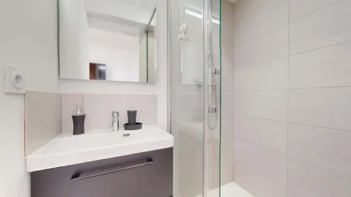 Habitación privada en 215 Rue Emile Gaboriau, 34000 Montpellier, France, imagen 3 de 26
