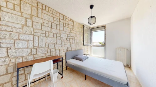 Stanza privata con letto matrimoniale Montpellier