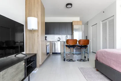 Apartamento inteiro em West Van Buren Street, West Loop, imagem 2 de 10