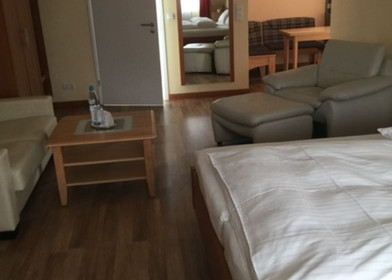 2-Zimmer-Unterkunft in Erlangen
