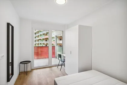 Privatzimmer in der Waagner-Biro-Straße, Lend, bild 1 von 10