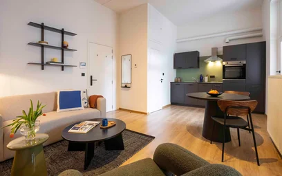 Entire apartment at Rue du Page, Brugmann-Lepoutre, image 4 of 10