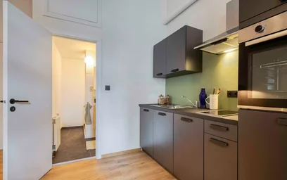 Entire apartment at Rue du Page, Brugmann-Lepoutre, image 6 of 10