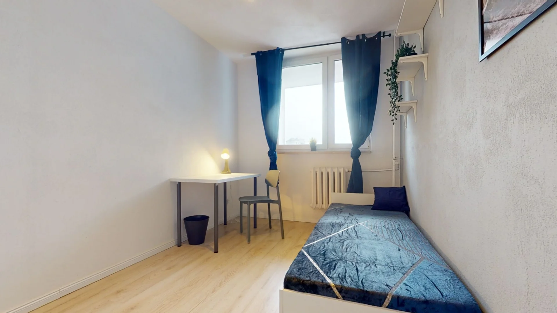 Room for rent in student apartment in , fully furnished