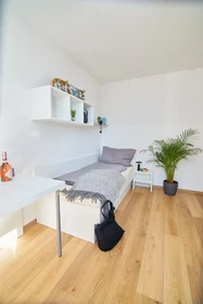 Bright shared room for rent in Vienna